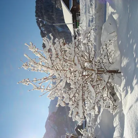 Apartment Aegertenstrasse 10 By Interhome Lenk
