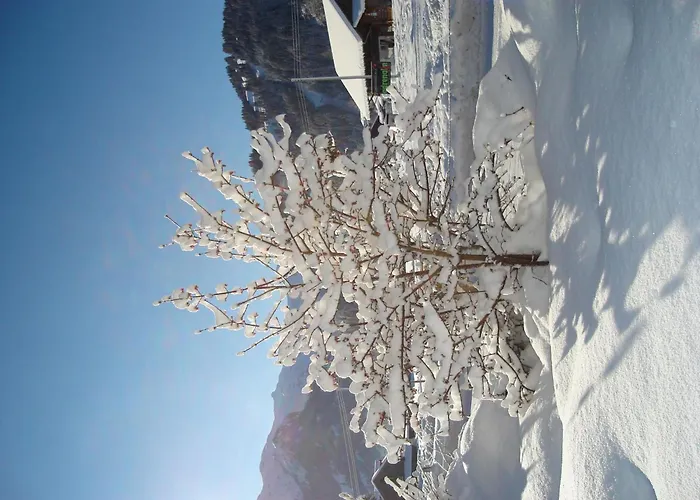 Apartament Aegertenstrasse 10 By Interhome Lenk