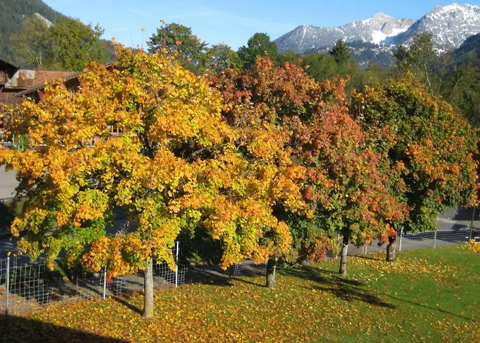 Aegertenstrasse 10 By Interhome Apartament Lenk