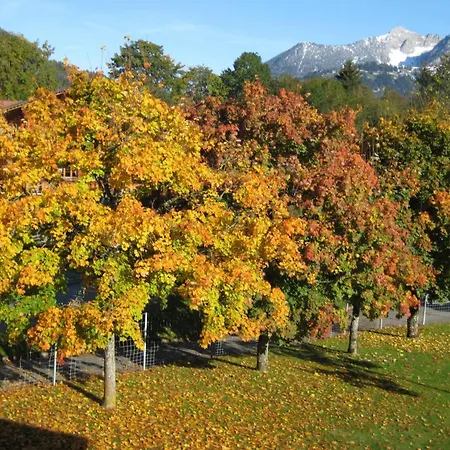 Aegertenstrasse 10 By Interhome アパート レンク